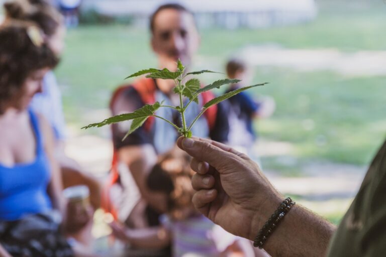 Towards Regenerative Tourism: Blockchain and Gamification for Sustainability